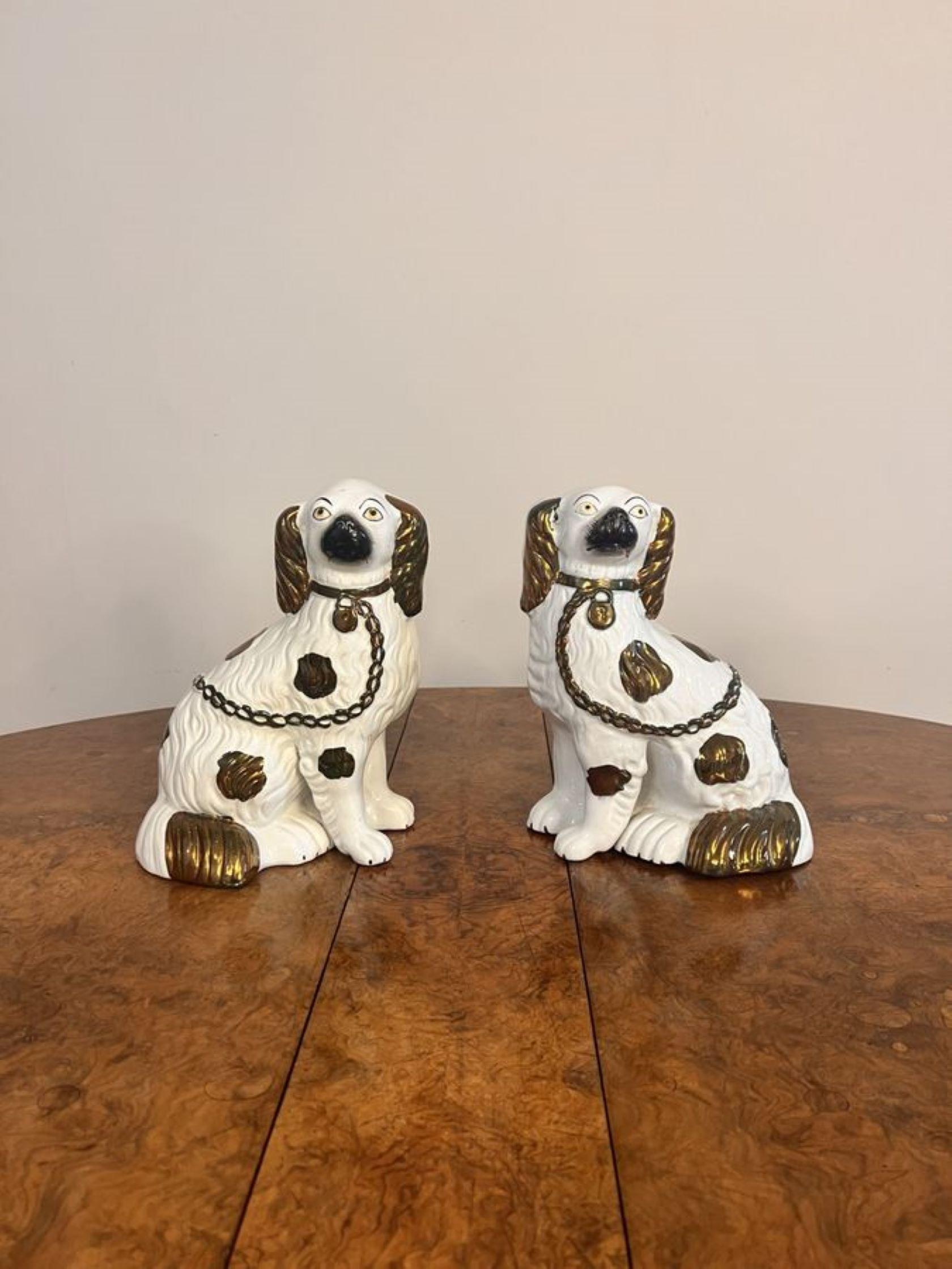 Quality pair of antique Victorian Staffordshire dogs, both seated spaniels with their front legs out, in matching copper brown & white coats, collars, padlocks and chains.

D. 1880