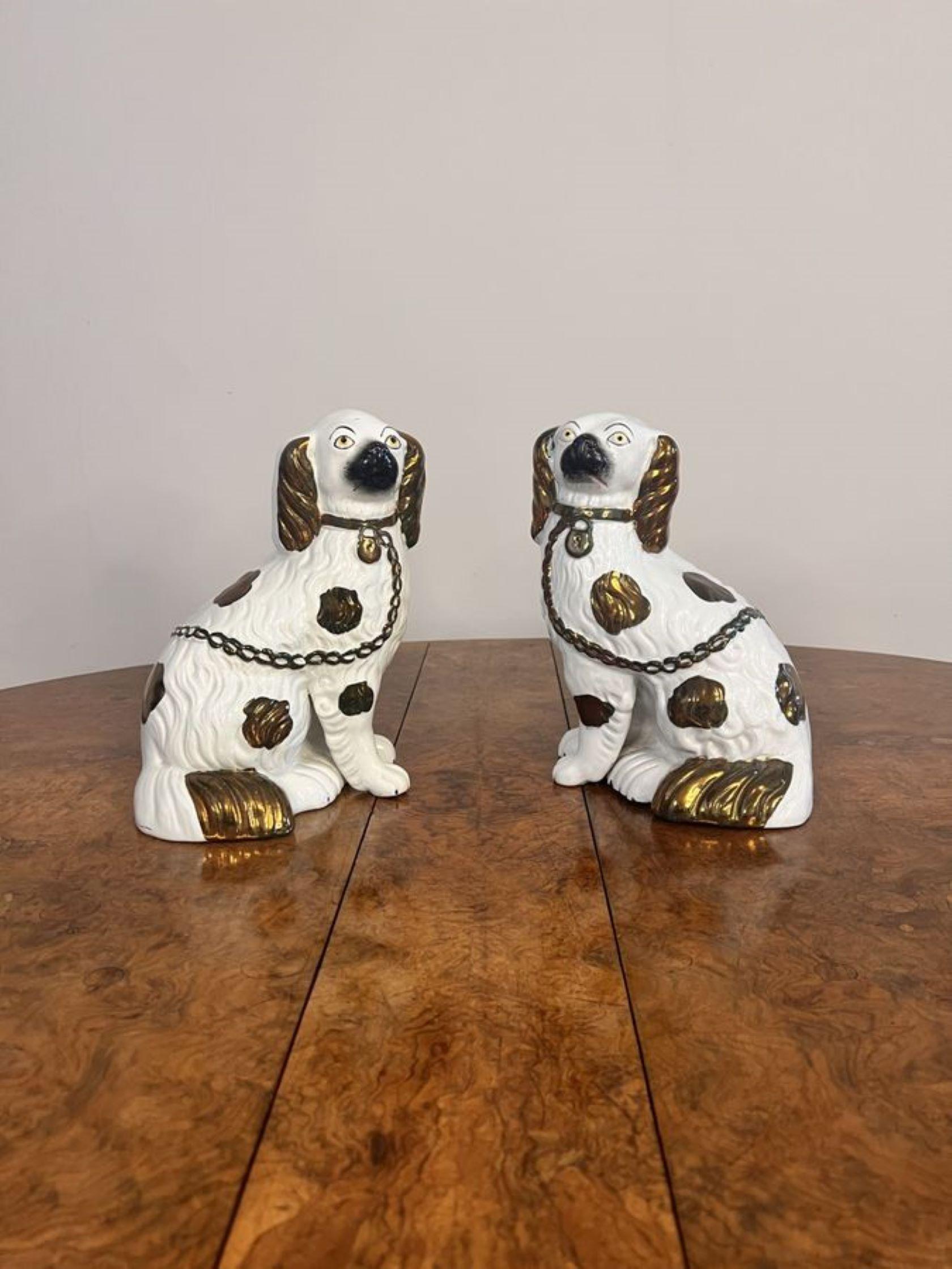 Early Victorian Quality pair of antique Victorian Staffordshire dogs
