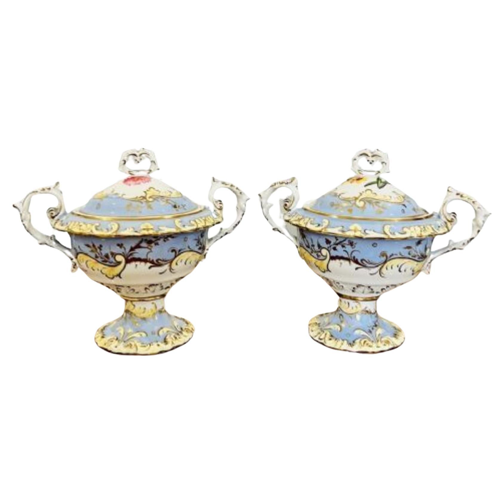 Quality Pair of Chamberlains Worcester sauce tureens and covers