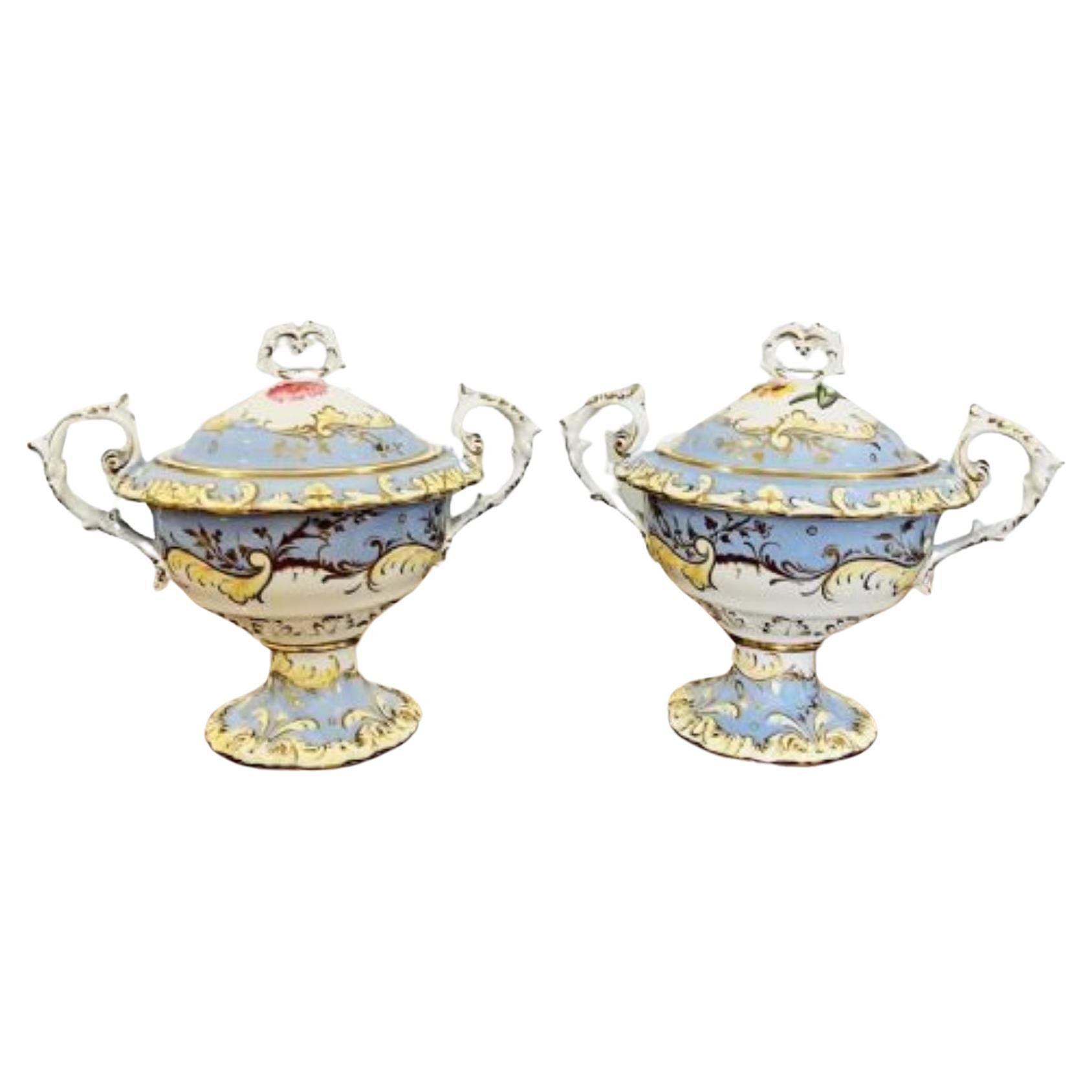 Quality Pair of Chamberlains Worcester sauce tureens and covers  For Sale