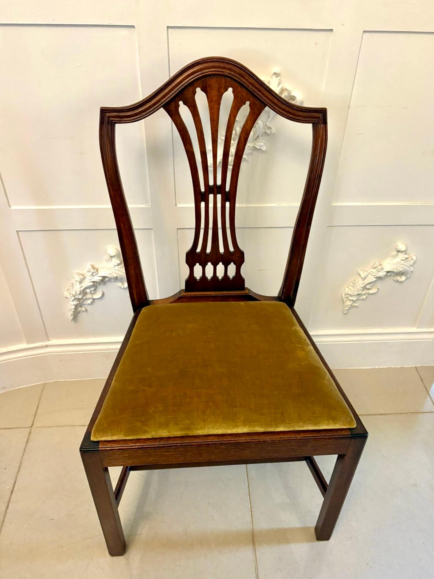 Quality Set of 12 Antique Mahogany Hepplewhite Style Dining Chairs im Angebot 9