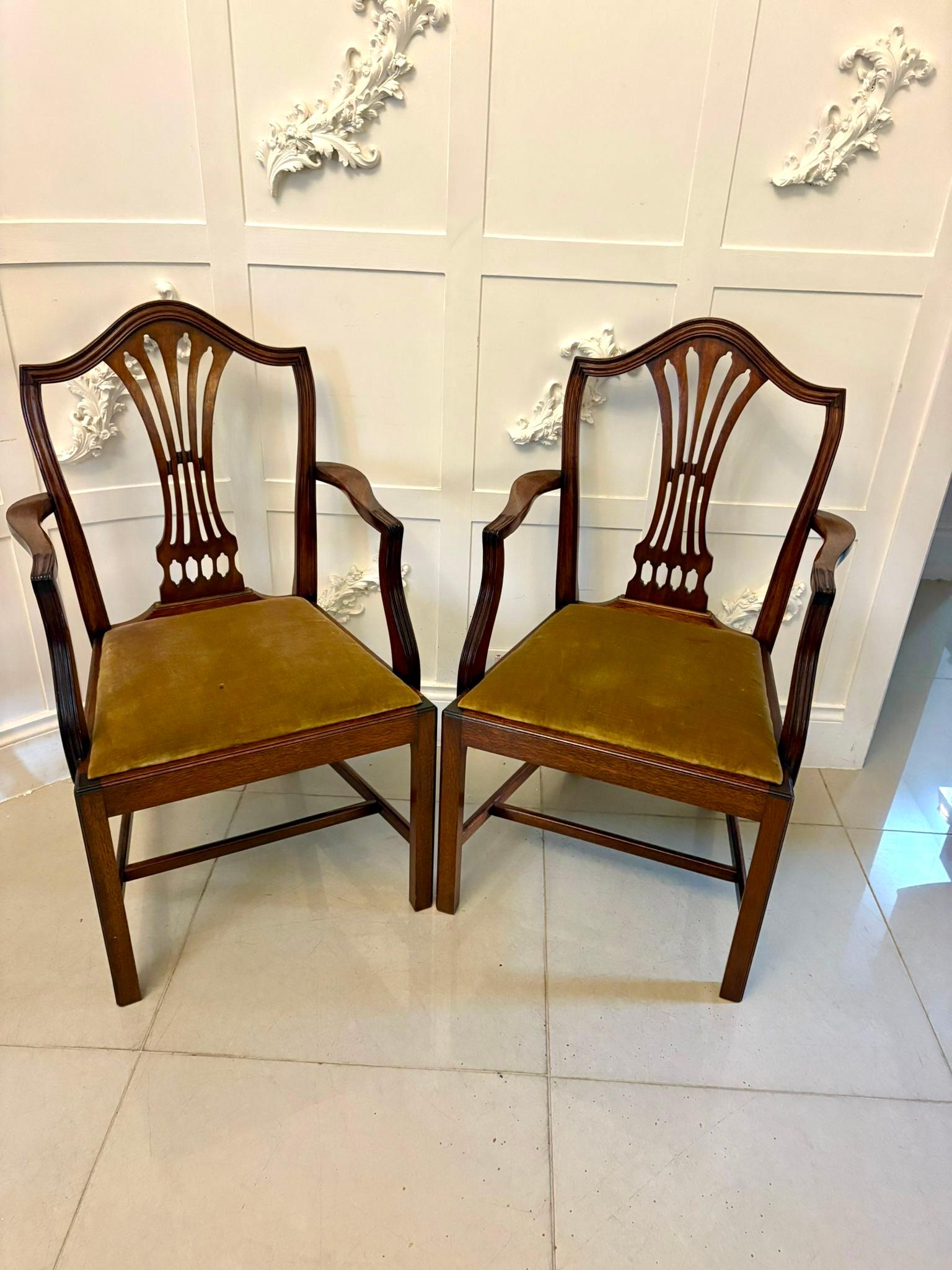 Ein feiner antiker Satz von zwölf Esszimmerstühlen im Hepplewhite-Stil, darunter zwei Schnitzer, die wunderschön aus massivem Mahagoni gefertigt sind und das für die Hepplewhite-Tradition typische elegante Schildrückenprofil aufweisen. Die