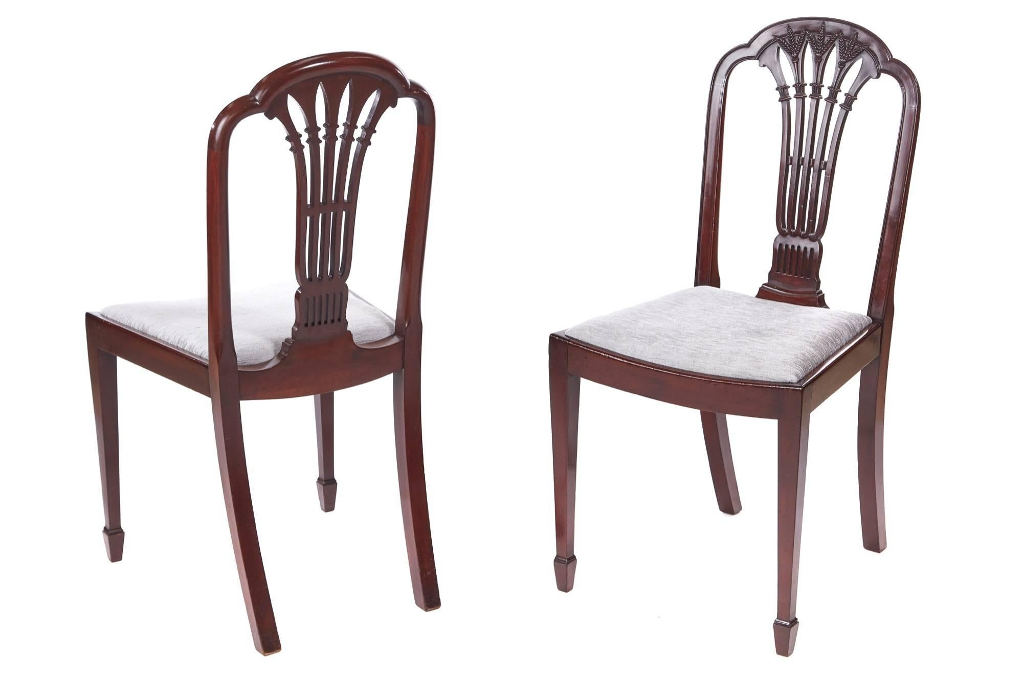 Quality set of six antique mahogany dining chairs, with a lovely tall back, carved shaped top with a lovely carved open splat to the centre, newly recovered drop in seats, standing on tapering square front legs with spade feet outswept back legs.