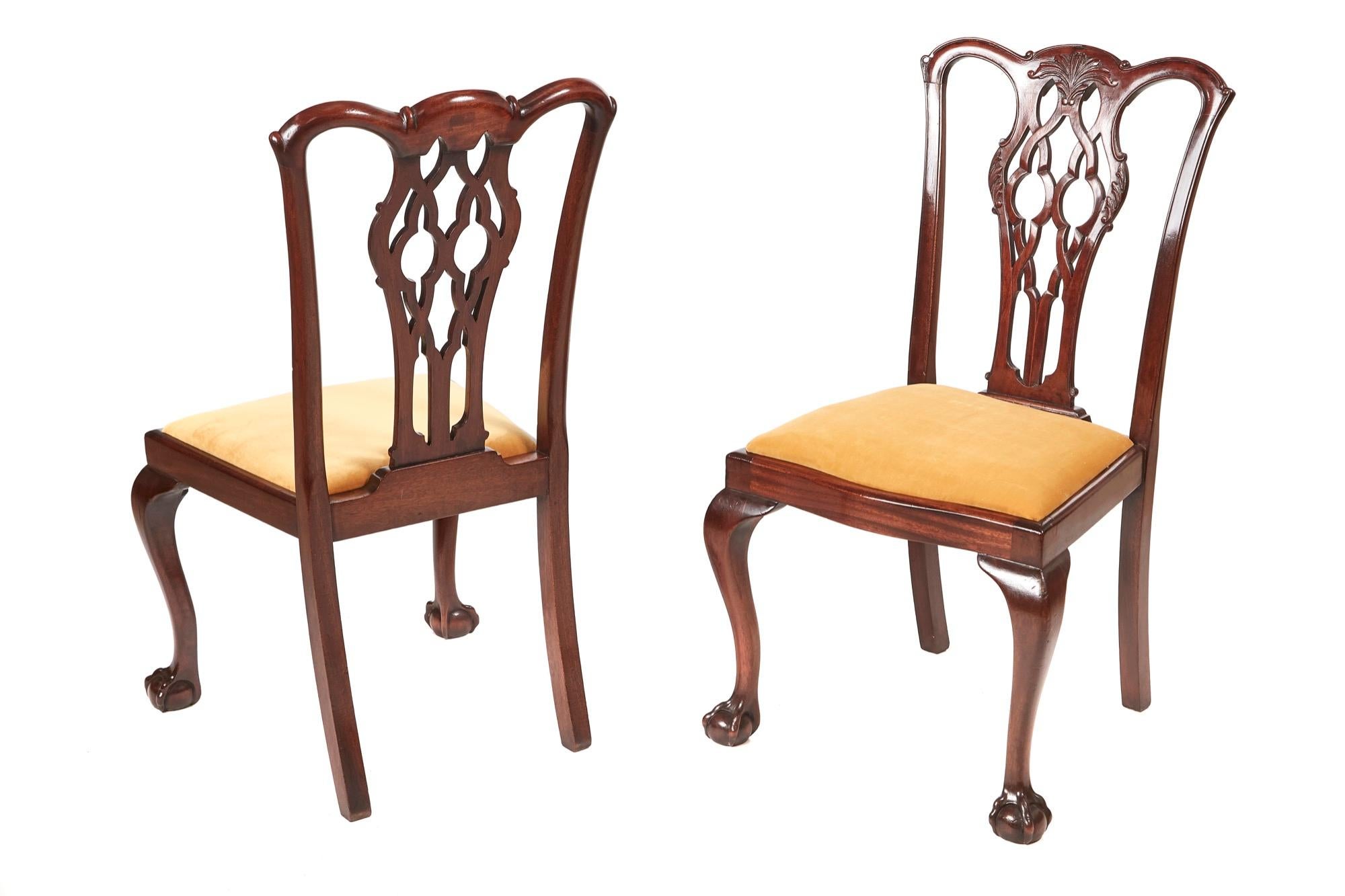 Victorian Quality Set Of 6 Mahogany Chippendale Style Dining Chairs