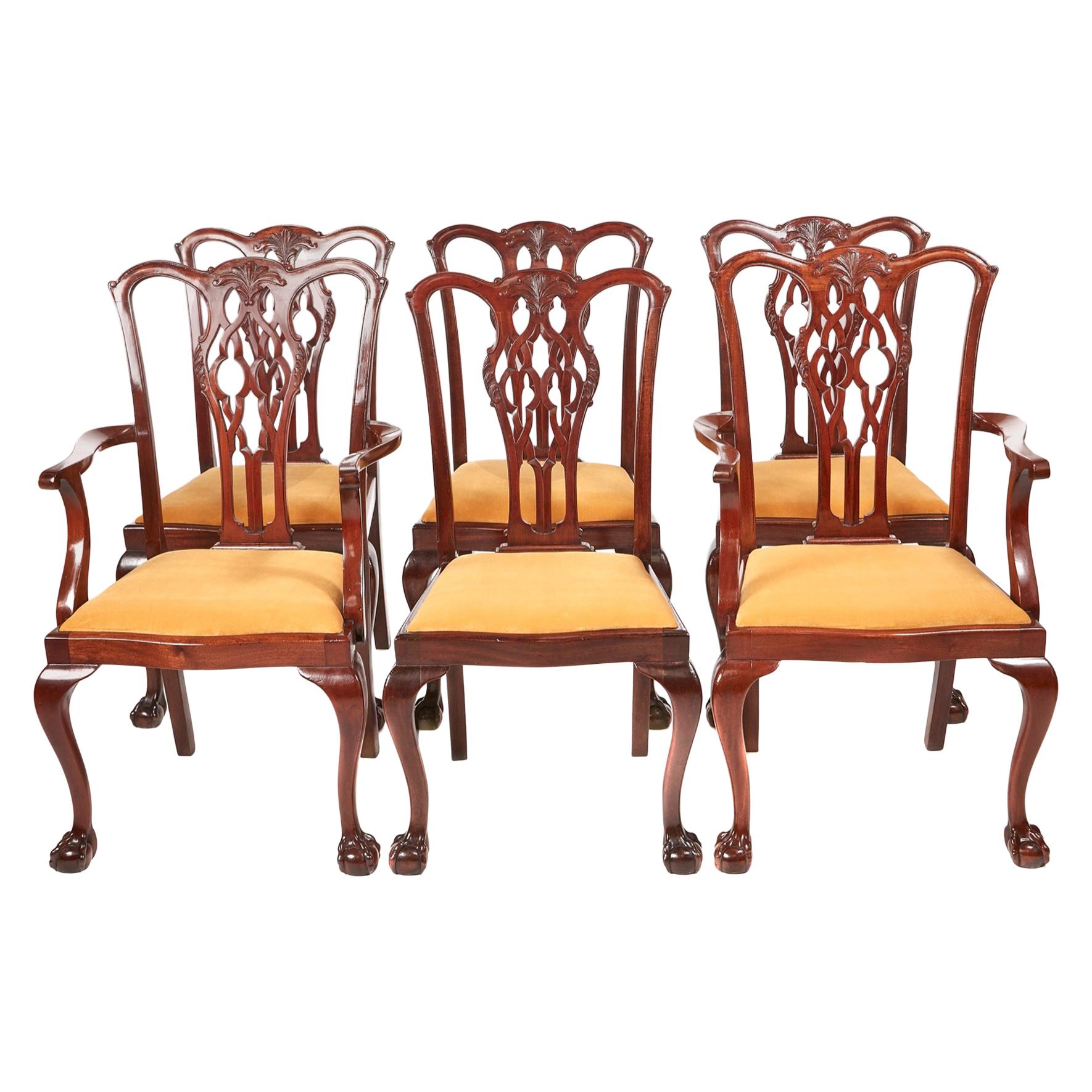 Quality Set Of 6 Mahogany Chippendale Style Dining Chairs