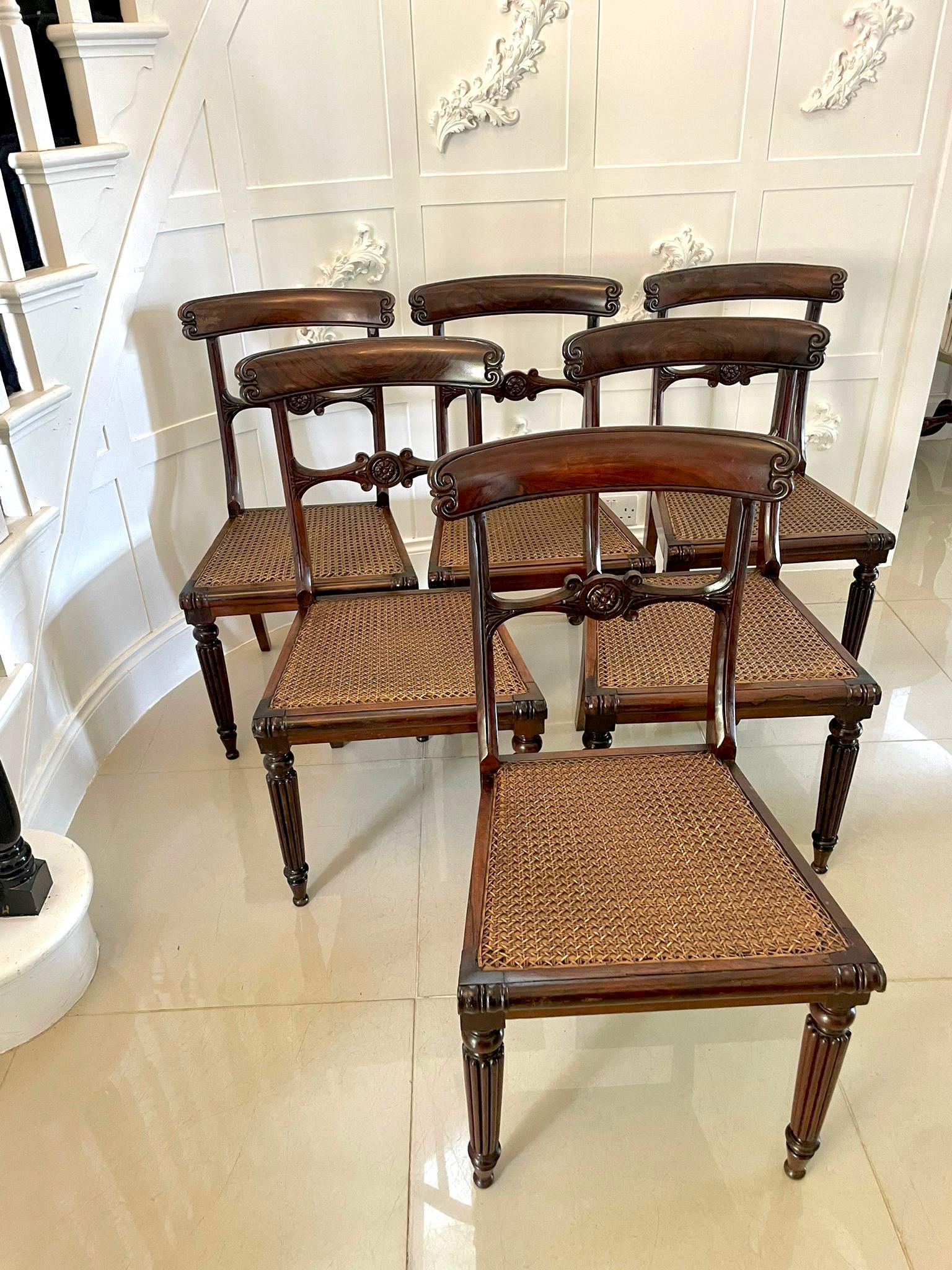 Quality set of six William IV rosewood dining chairs with an elegant carved shaped top rail, carved centre rail, cane seats standing on turned reeded legs to the front and out swept back legs

An elegant superior set in lovely original condition