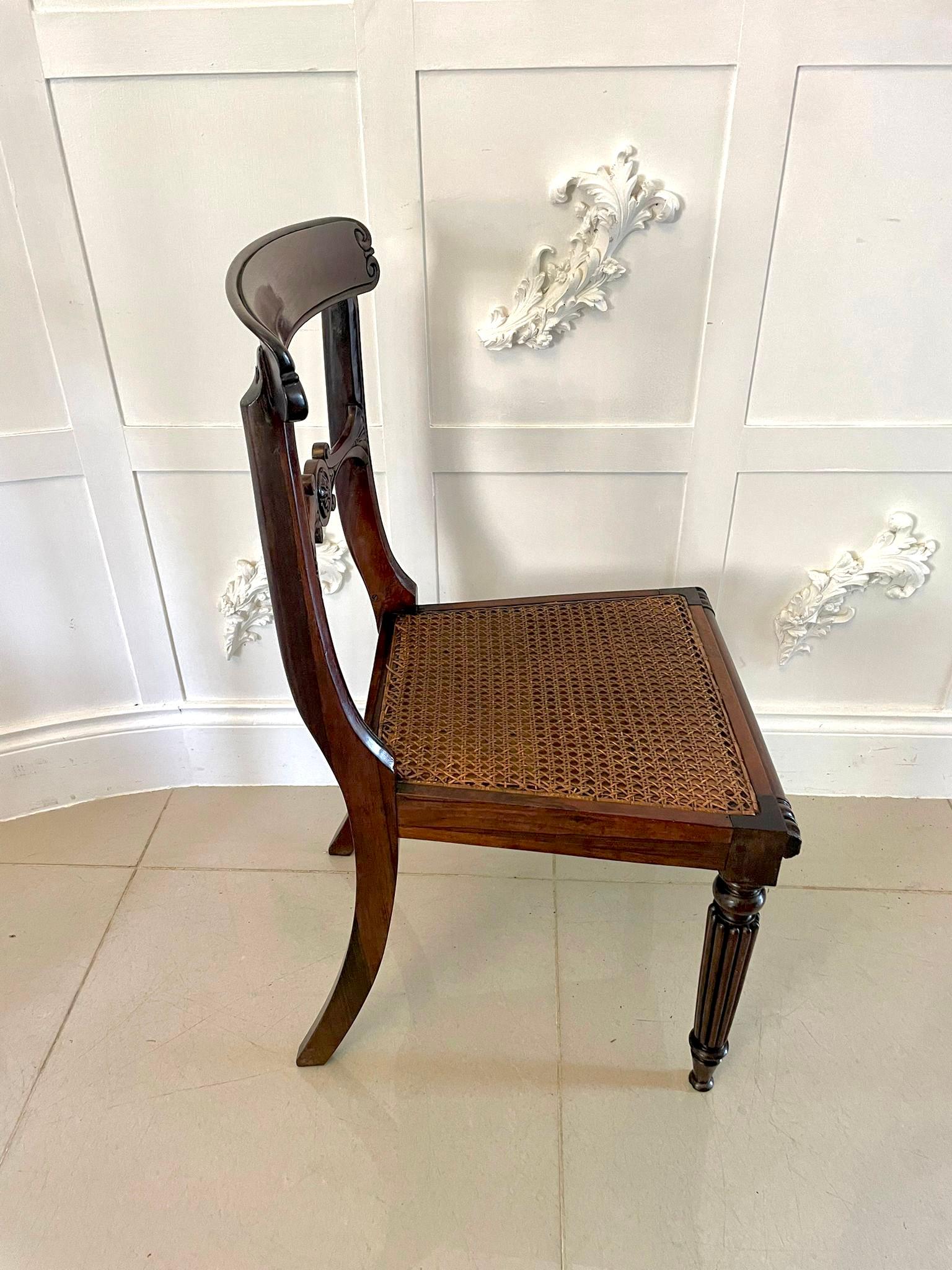  Quality Set of 6 William IV Rosewood Dining Chairs In Good Condition In Suffolk, GB