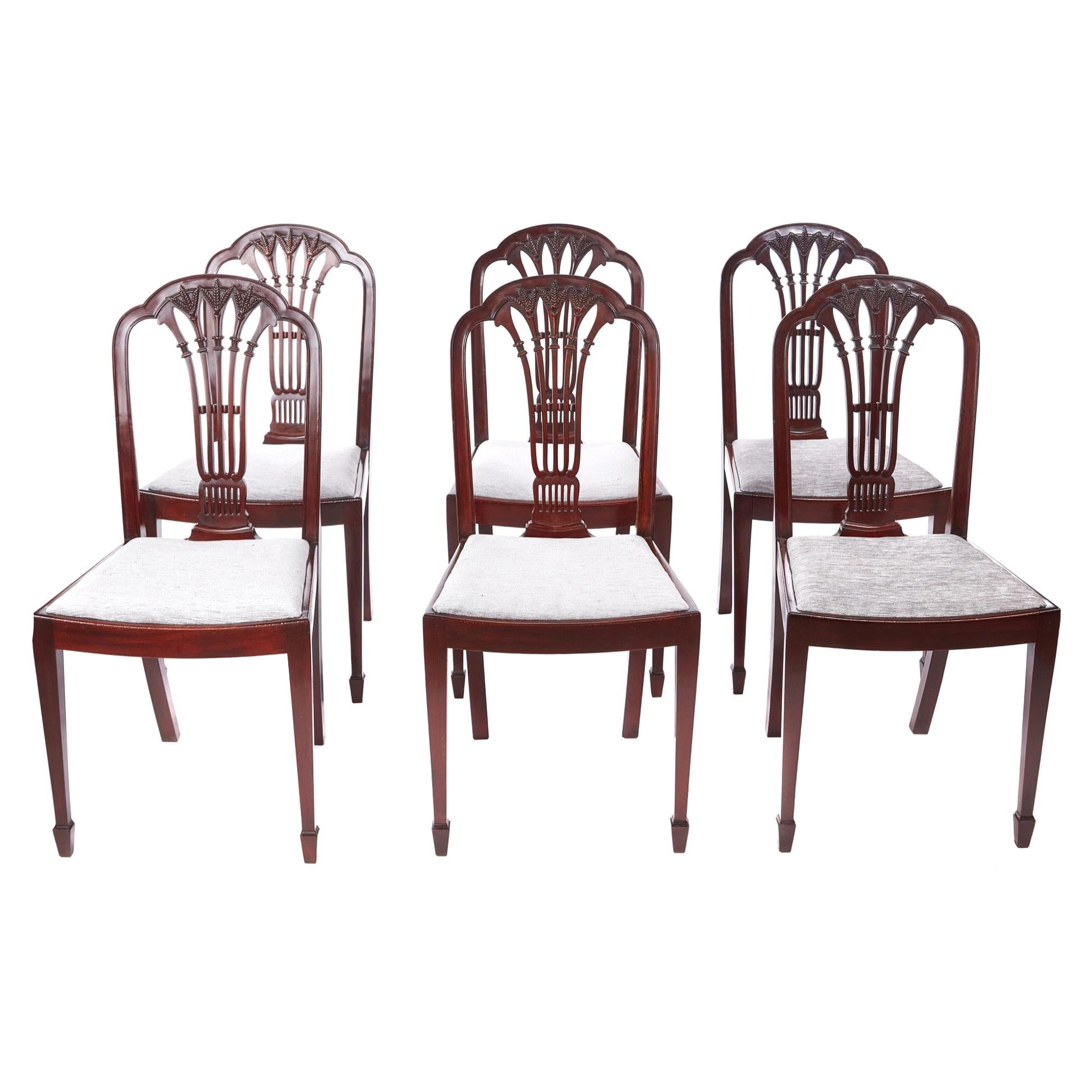 Quality Set of Six Antique Mahogany Dining Chairs For Sale