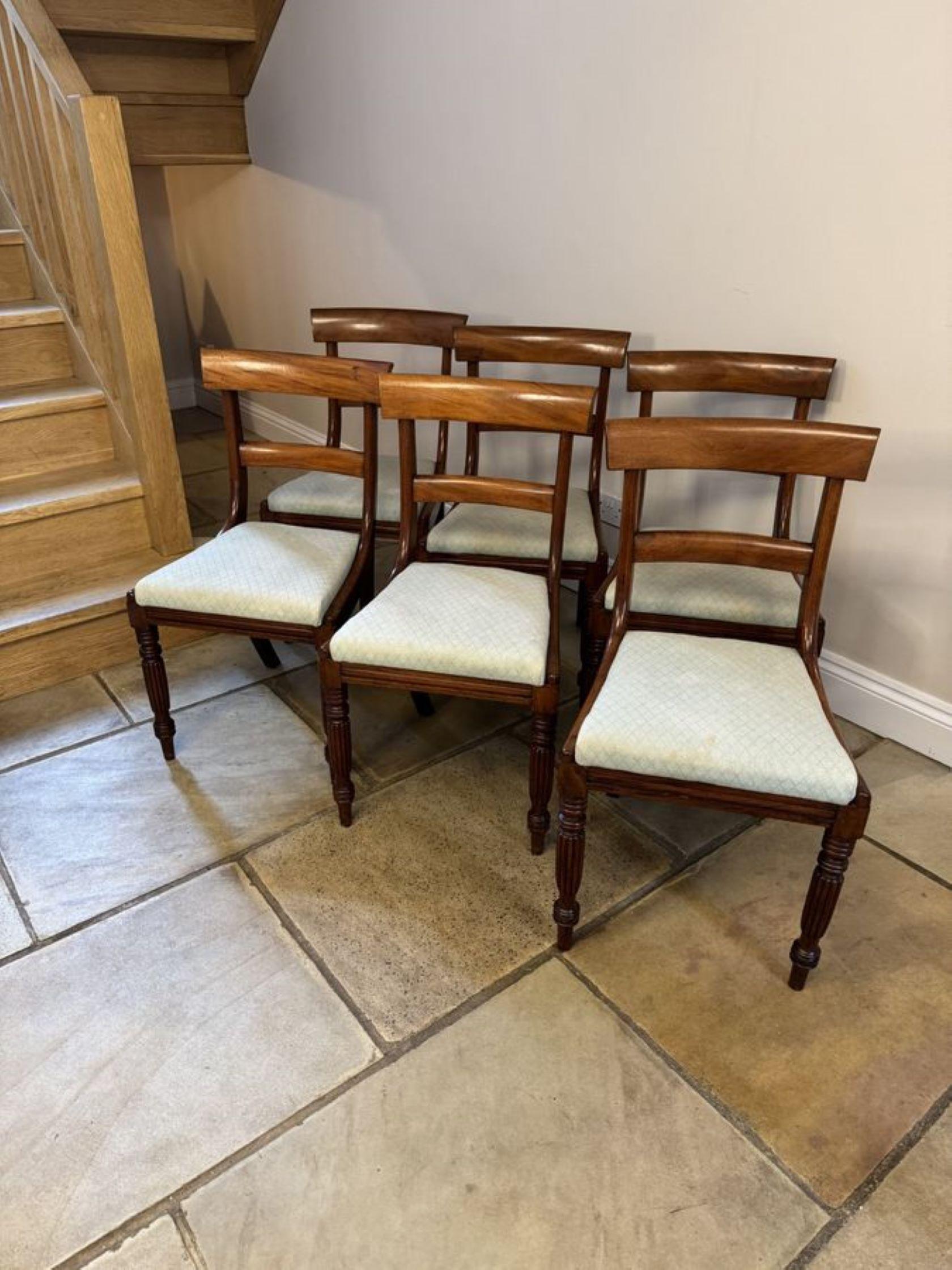 Acajou Ensemble de qualité de six chaises de salle à manger Regency en acajou ancien  en vente