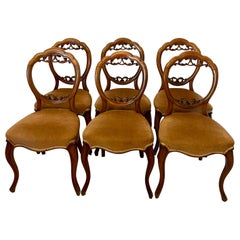 Sedie per la sala da pranzo