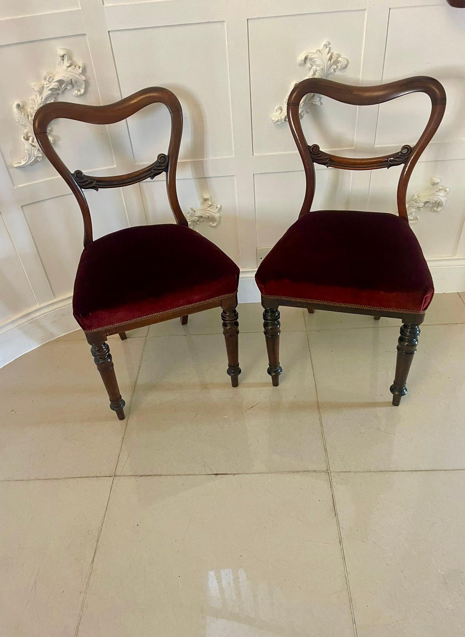 Quality Set of Six Antique Victorian Rosewood Dining Chairs For Sale 4