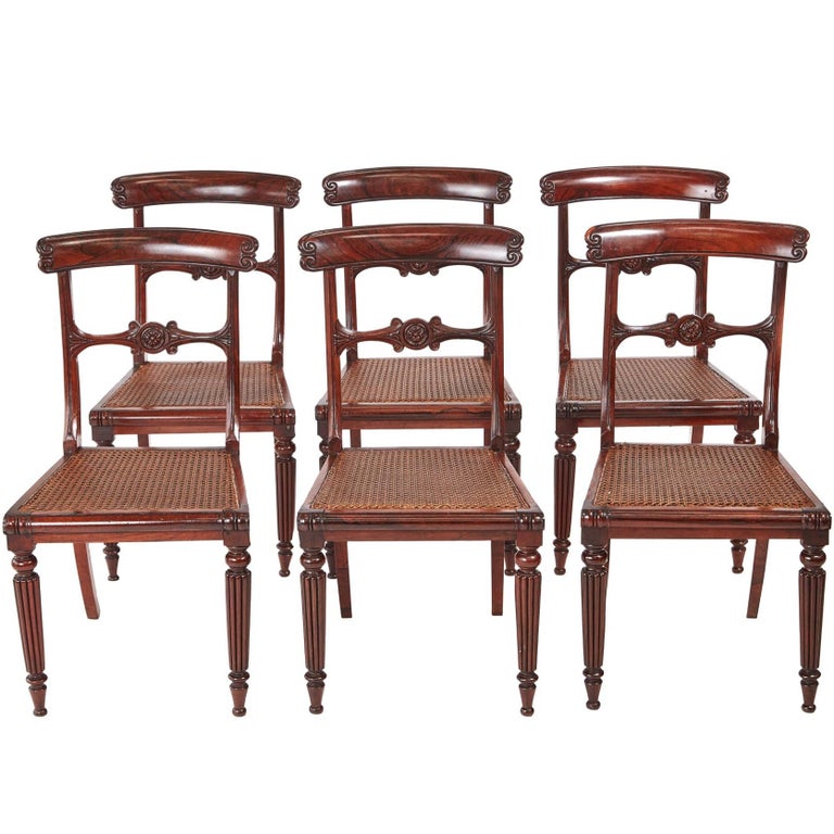 Quality Set of Six William IV Rosewood Dining Chairs For Sale at 1stdibs