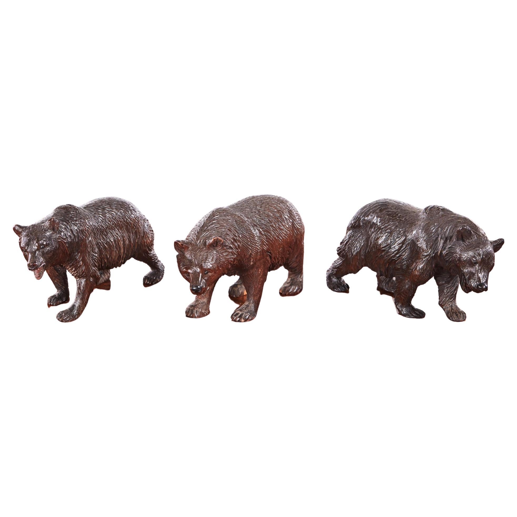 Quality Set of Three Antique Carved Black Forest Bears