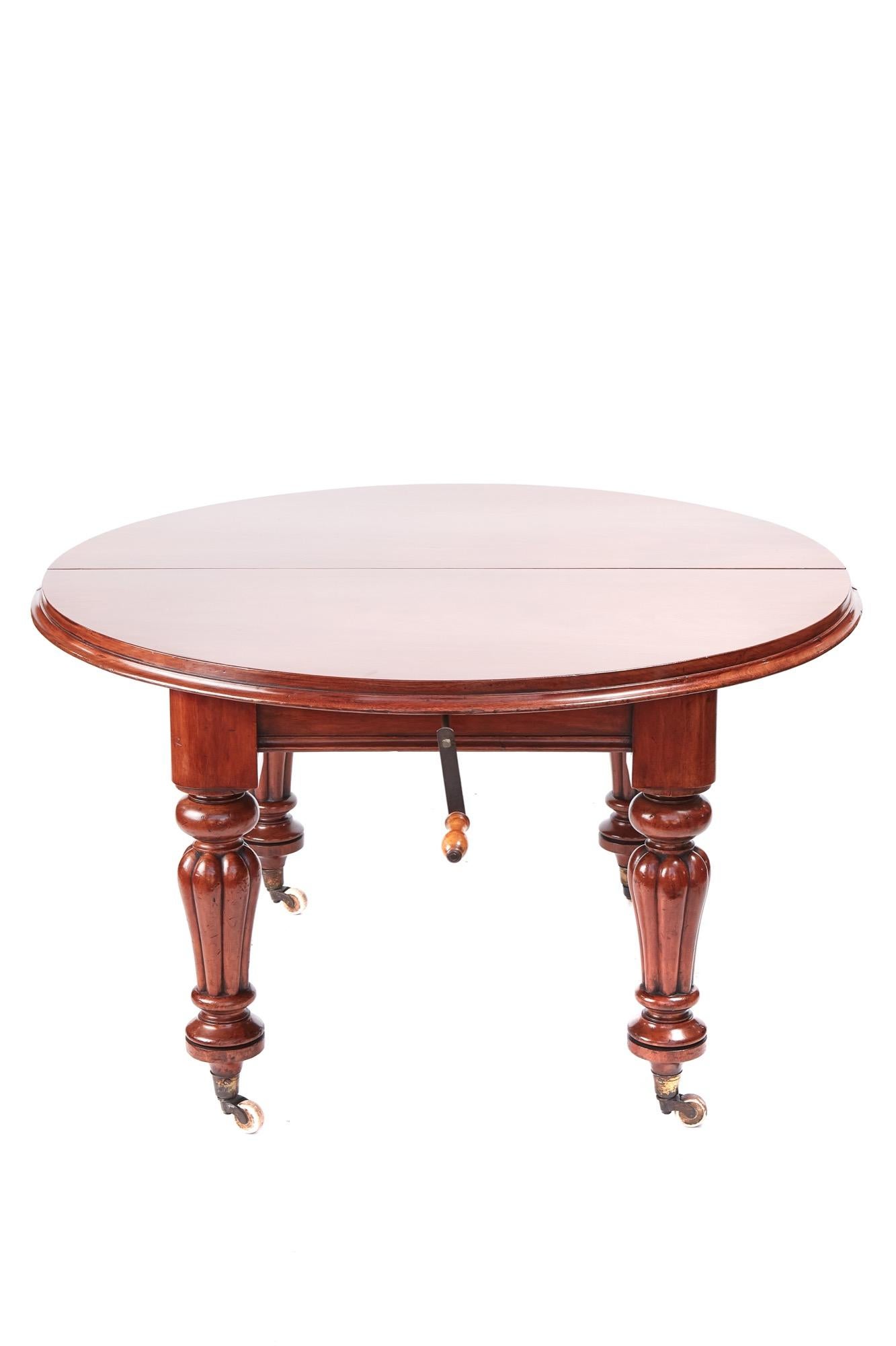Quality Victorian mahogany circular extending dining table, having a lovely quality flamed mahogany top with a molded edge, two original leaves, original winding handle, standing on shaped reeded legs with original castors
lovely color and