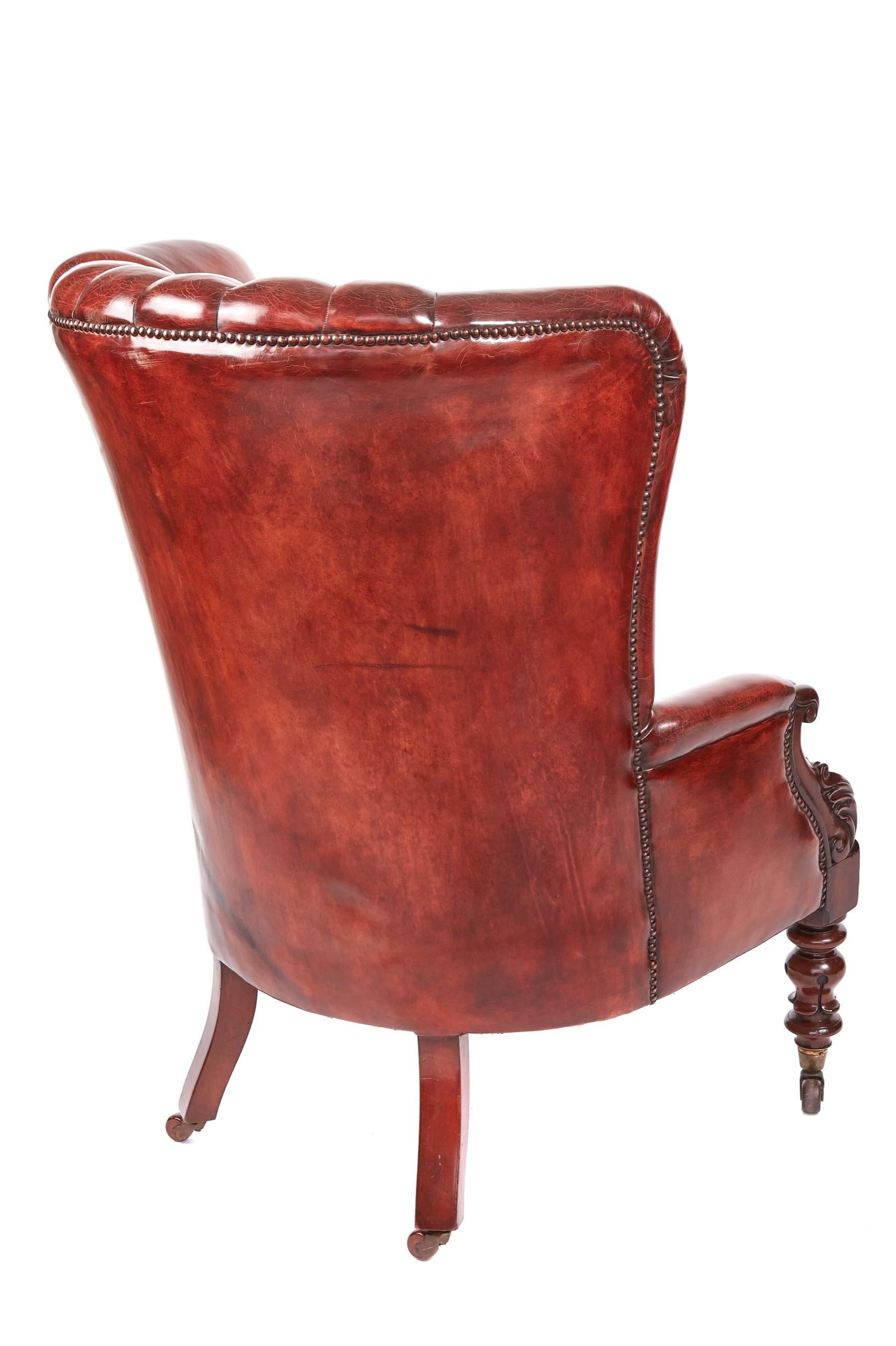 Quality William IV leather barrel back library chair, having a fantastic quality chestnut color leather barrel back, lovely quality mahogany carved arms, serpentine seat, standing on turned shaped tulip legs to the front outswept back legs, original
