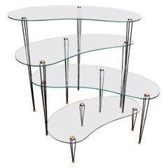 Vintage Quartet of Glass Kidney Shaped Tables