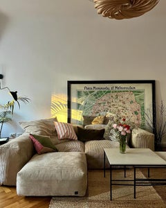 Quartz II Rose & Dry Green Velvet Deluxe Handmade Decorative Cushion