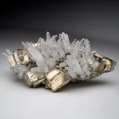 Natural Specimens