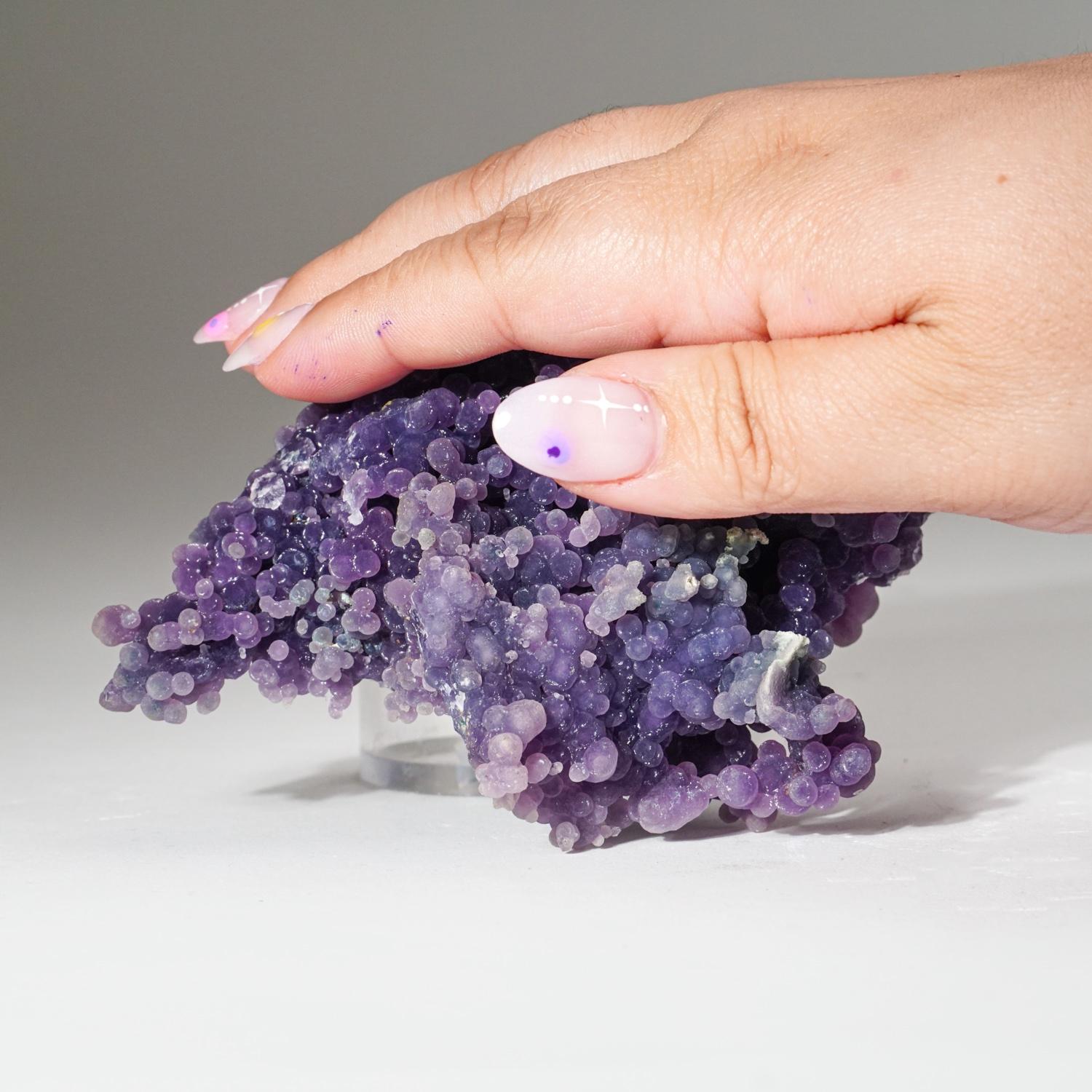 Quartz var. Grape Agate from near Pantai Manakarra, Mamuju, Sulawesi, Indonesia In New Condition For Sale In New York, NY