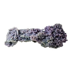 Quartz var. Grape Agate from near Pantai Manakarra, Mamuju, Sulawesi, Indonesia