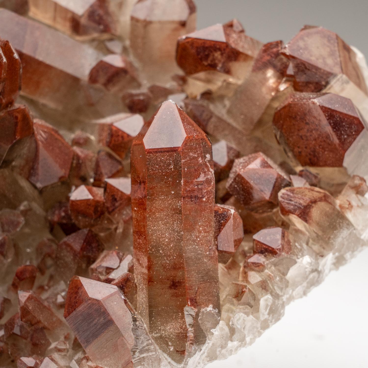 Large cluster of transparent reddish orange quartz crystals with coloration caused by microscopic spherical hematite inclusions on matrix lined with bladed rosettes black-metallic hematite crystals on matrix.

Weight: 1.5 lbs, Dimensions: 6 x 5 x 3