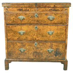 Queen Anne Burr Walnut Bachelors Chest