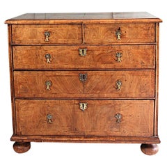 Queen Anne Burr Kommode aus Nussbaumholz