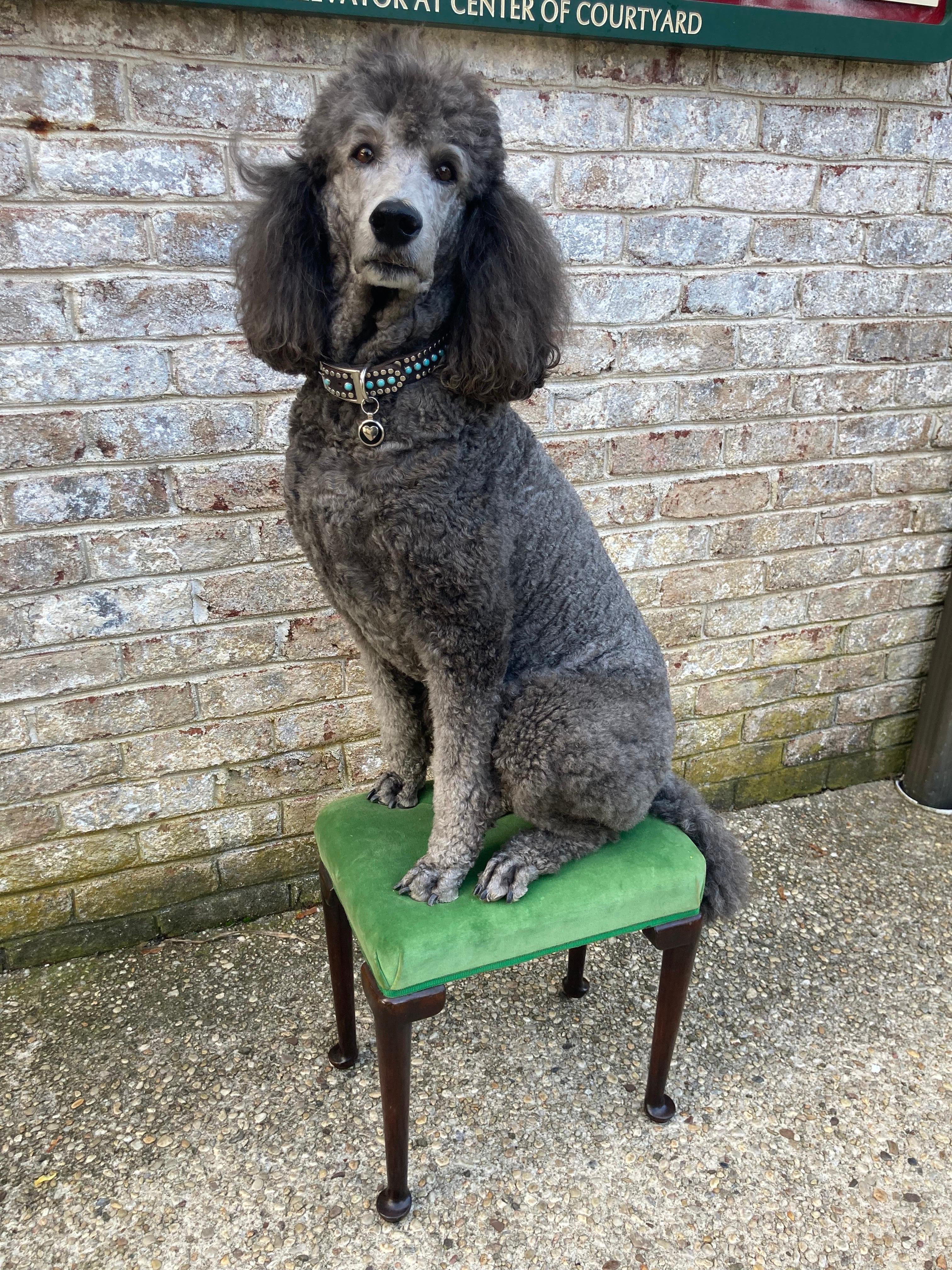 Queen Anne Style Stool For Sale 2