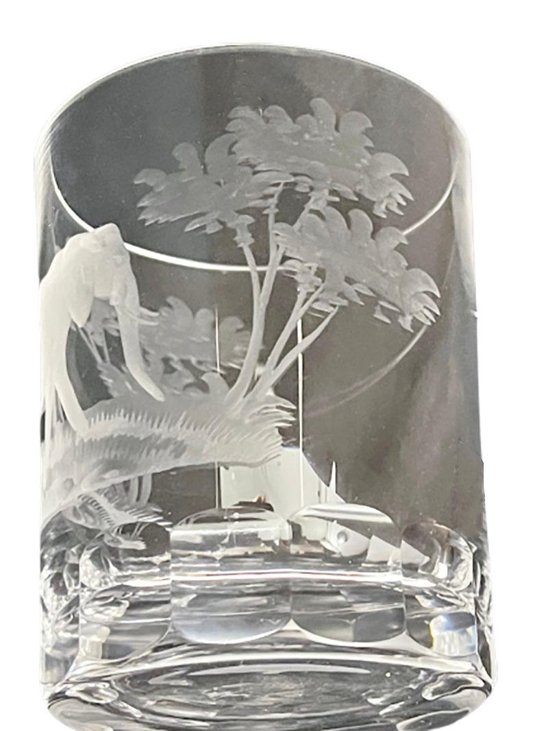 German Queen Lace Crystal Glass Set of 6, Kenyan Wildlife Serie