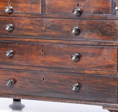 Queen Maria style chest of drawers / desk in jacaranda wood - 19th century