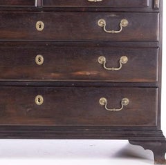 Queen Maria style chest of drawers / desk in jacaranda wood - 19th century