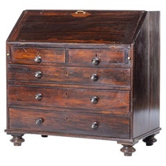 Queen Maria style chest of drawers / desk in jacaranda wood - 19th century
