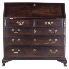 Queen Maria style chest of drawers / desk in jacaranda wood - 19th century