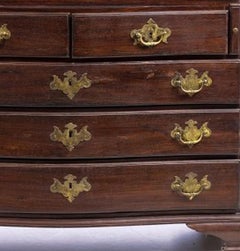 Queen Maria style chest of drawers / desk in jacaranda wood.
