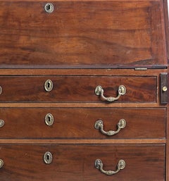 Queen Maria style chest of drawers / desk in vine wood wood
