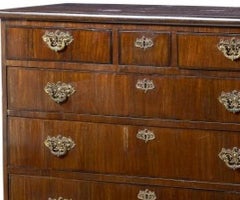 Queen Maria style chest of drawers in oil-wood - 19th century