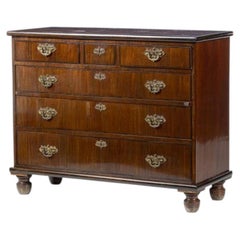 Queen Maria style chest of drawers in oil-wood - 19th century