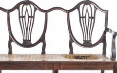 Queen Maria style sofa in Noble Wood - 19th century