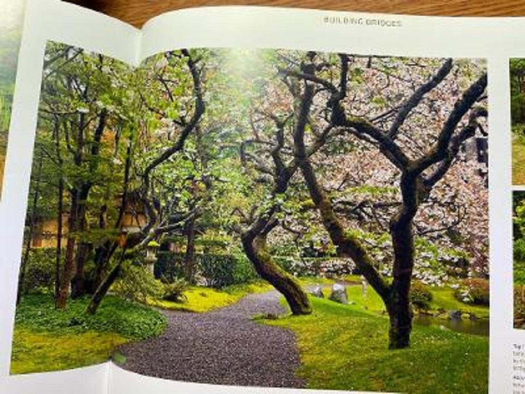 Contemporary Quiet Beauty The Japanese Gardens of North America Book