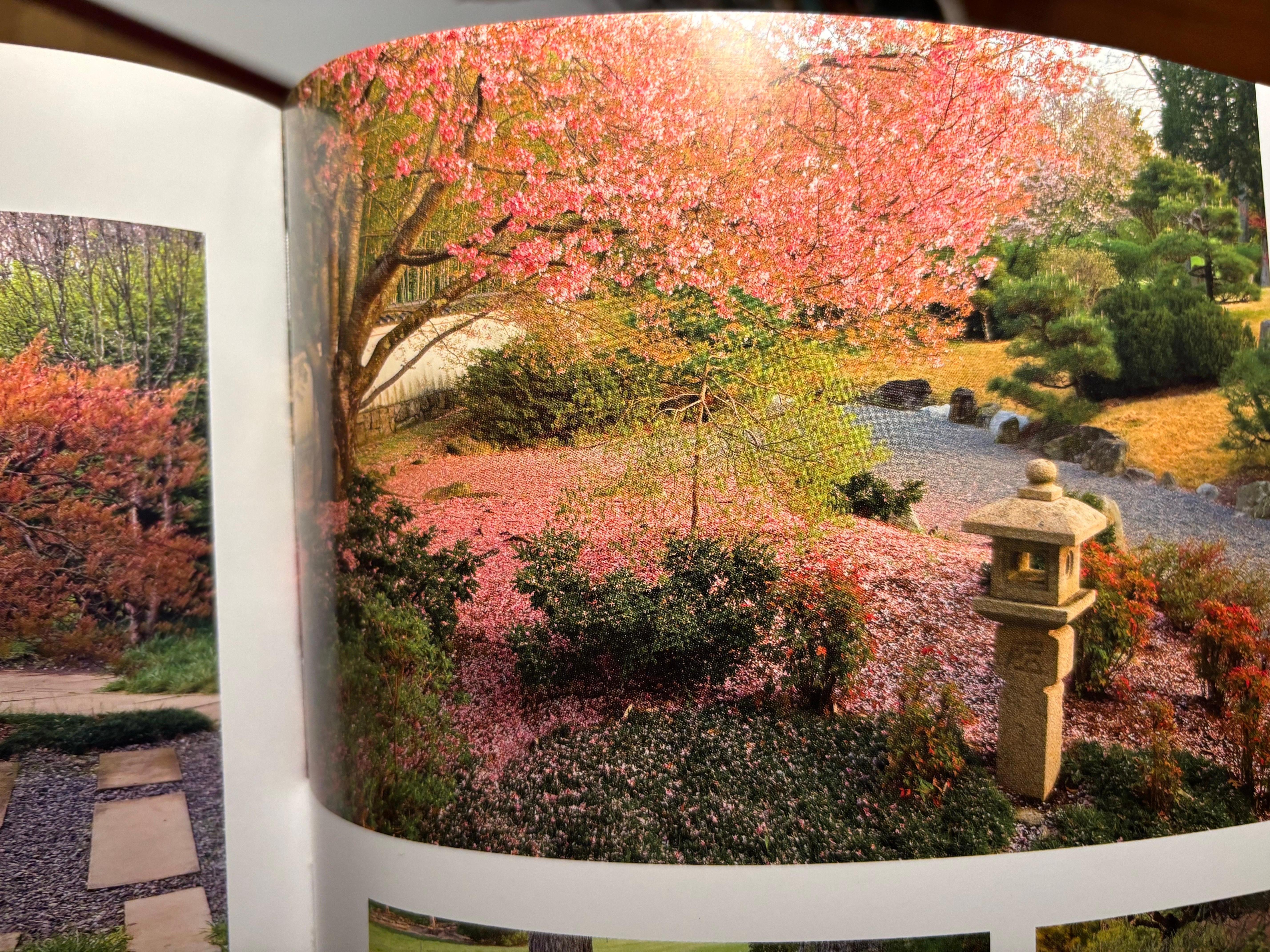 Quiet Beauty The Japanese Gardens of North America Livre en vente 1