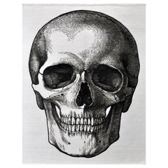 "Quietus - Balck + White" /  10
 x 14
 / Hand-Knotted Wool Rug