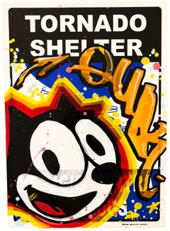 Felix Tornado Shelter