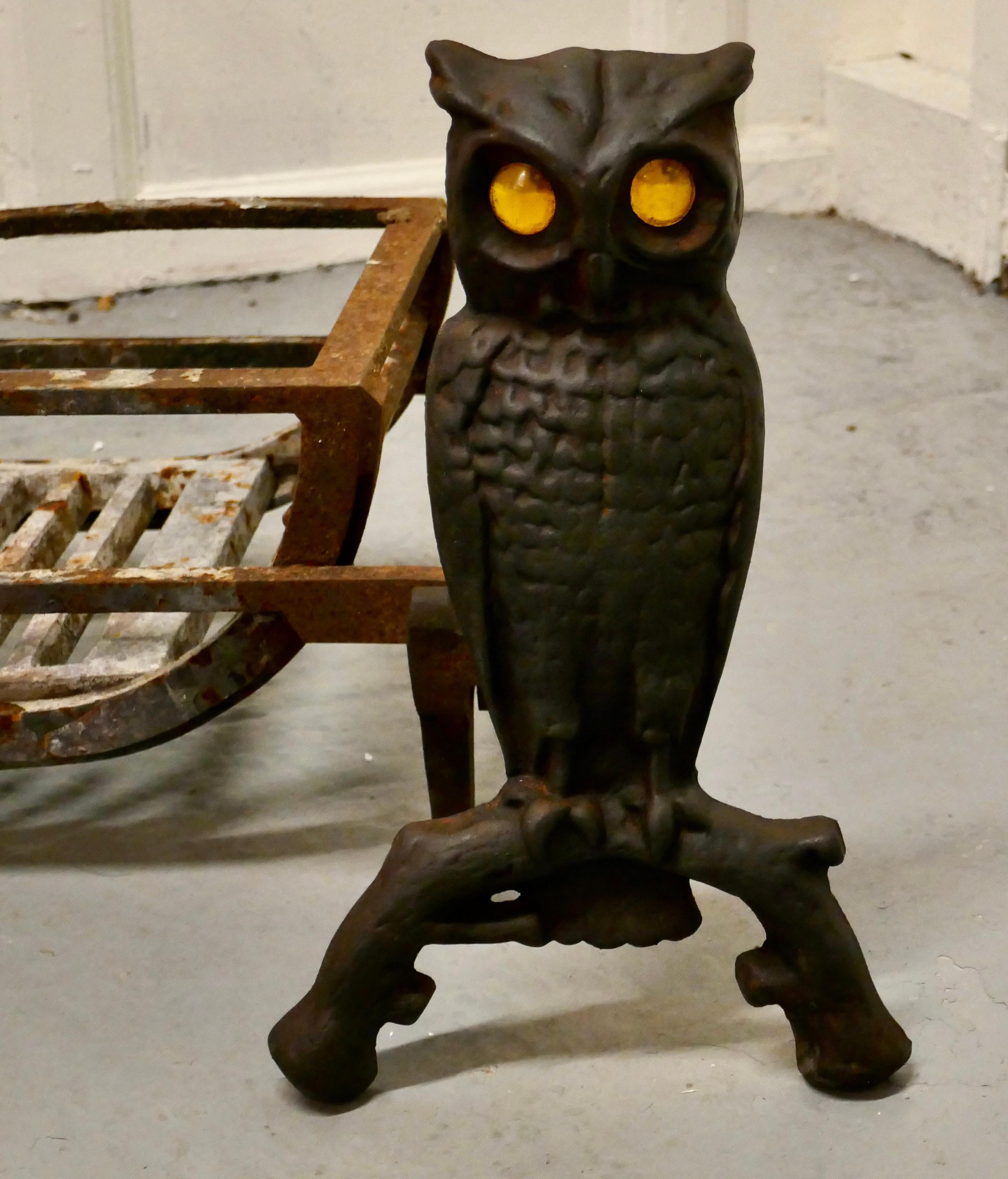 20th Century Quirky Model Owl Iron Andirons with Grate For Sale