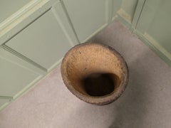 Quirky Stick Stand from Hollow Tree Trunk, Palm Tree Fern