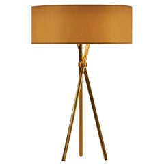 Quo Mini Cardboard and Brass Table Lamp, Diff. Colors Available