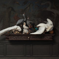 'Quoting Charles Darwin I' a Fine Taxidermy Tableaux by Sinke & Van Tongeren