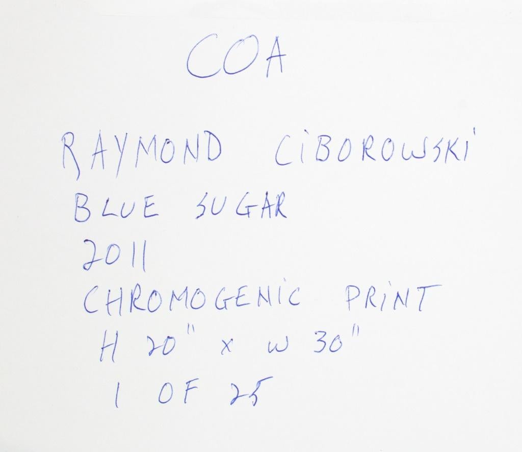 R. Ciborowski, Blue Sugar Chromogenic Print For Sale 1