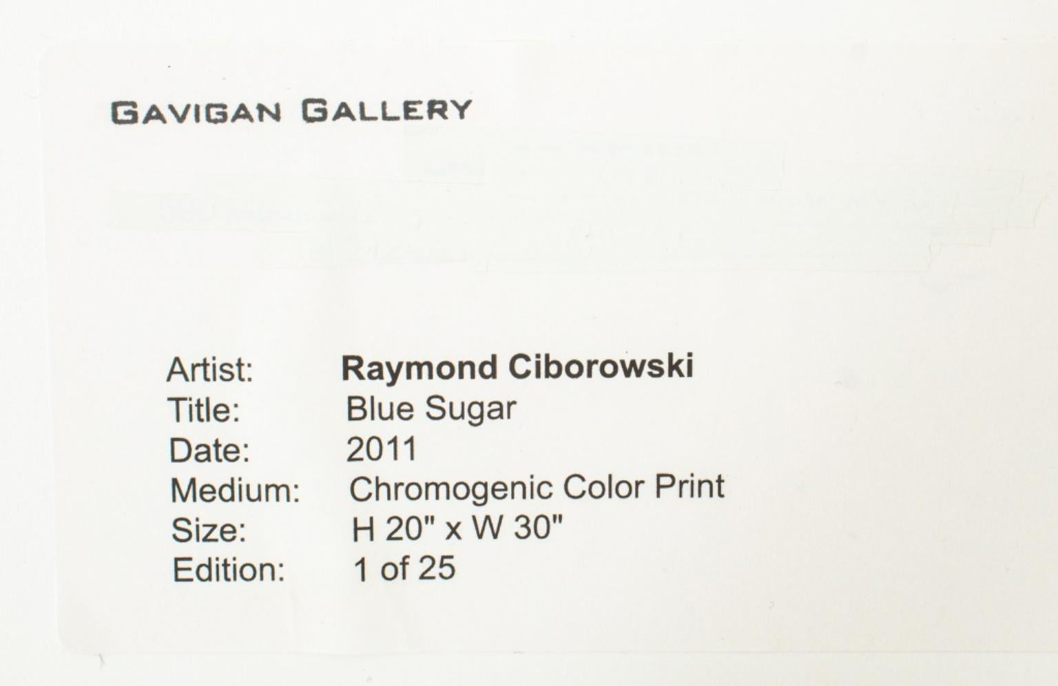 R. Ciborowski, Blue Sugar Chromogenic Print For Sale 2