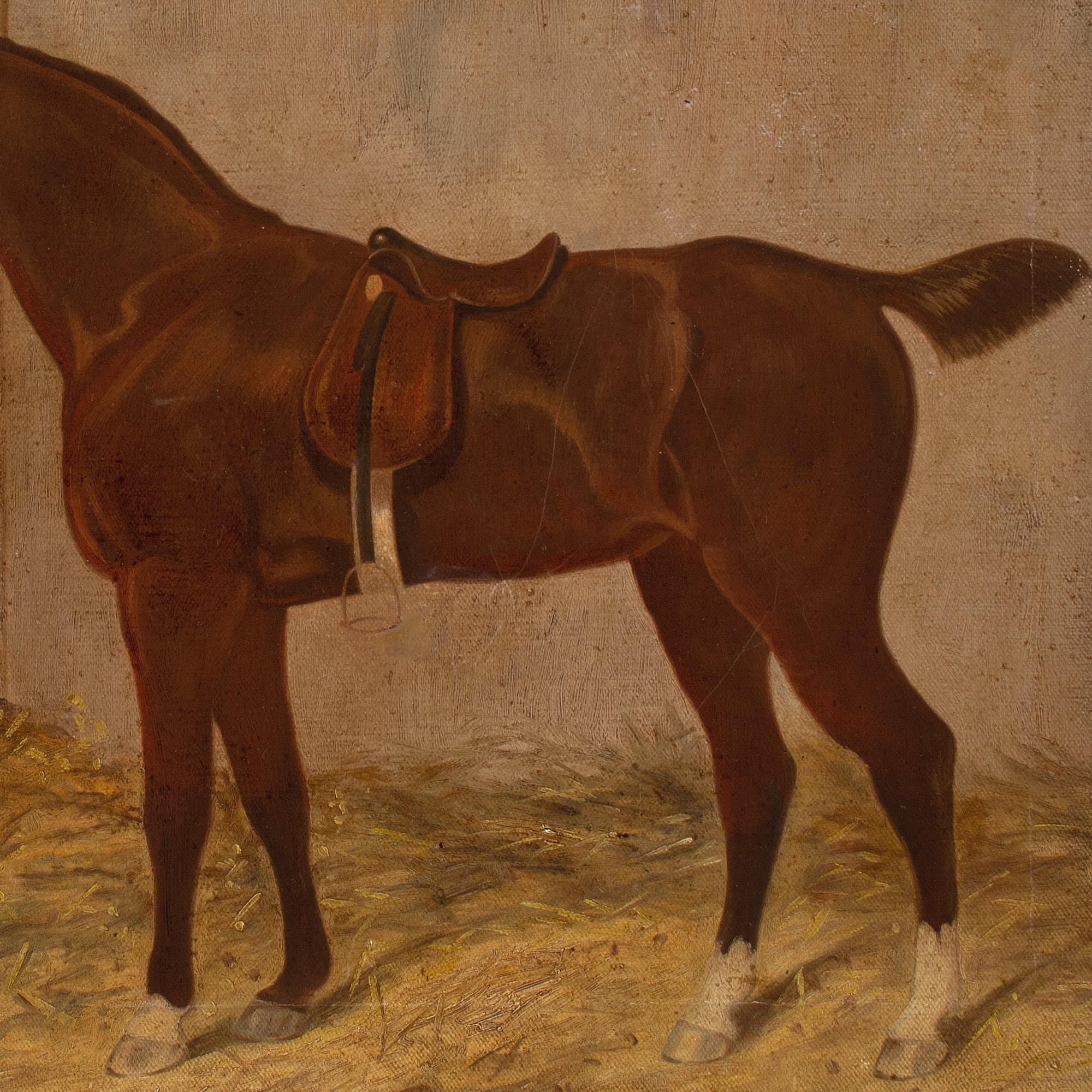 R F Henderson, An Owner With A Chestnut Racehorse & Terrier In A Stable 7
