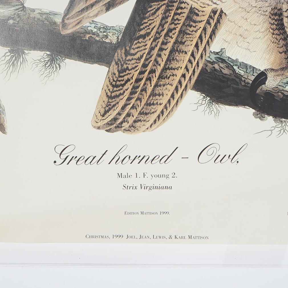R. Havell Double Elephant Folio Audubon Print of Great Horned Owls C1999 For Sale 6